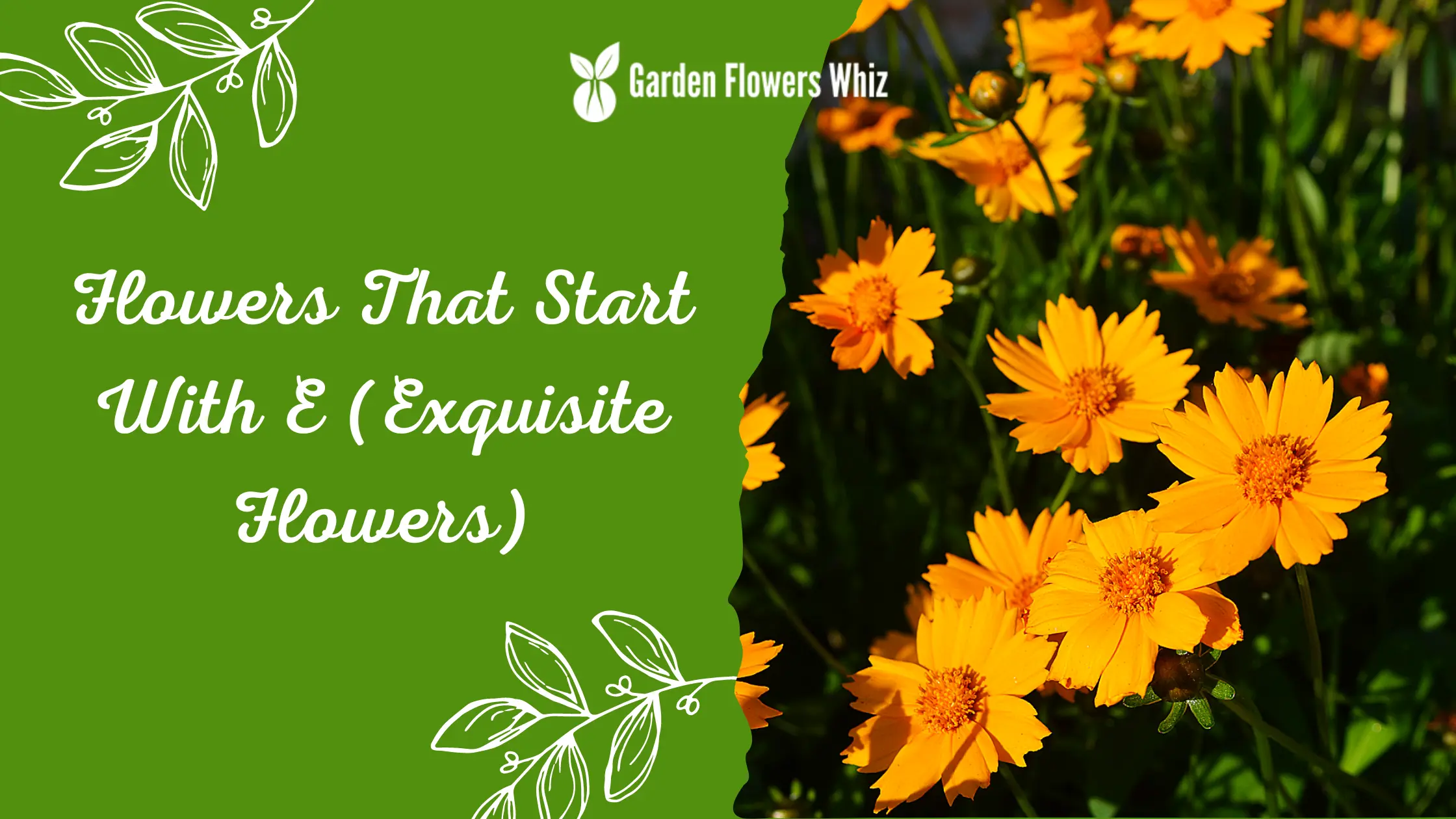 Flowers That Start With E (Exquisite Flowers)