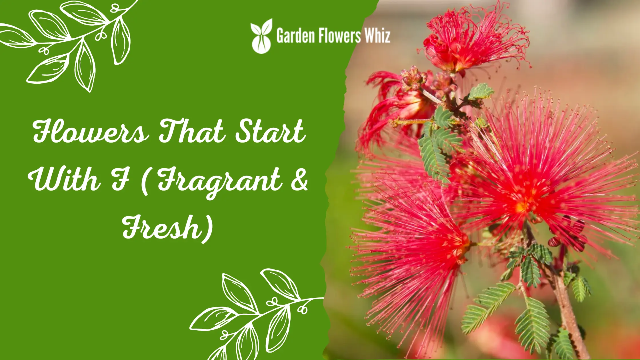 Flowers That Start With F (Fragrant & Fresh)