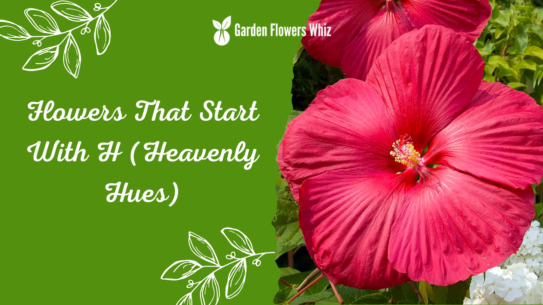 Flowers That Start With H (Heavenly Hues)