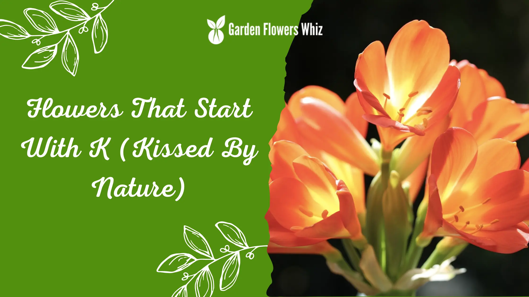 Flowers That Start With K (Kissed By Nature)