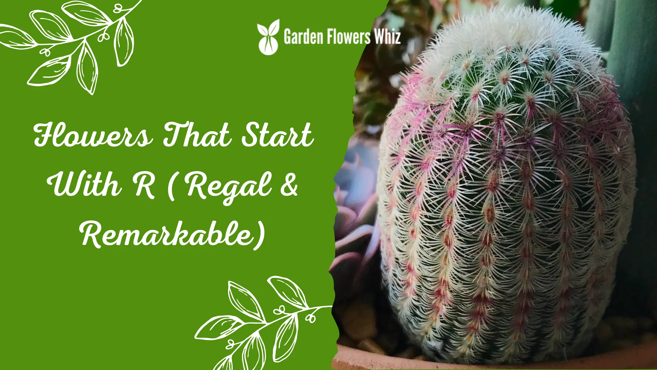 Flowers That Start With R (Regal & Remarkable)