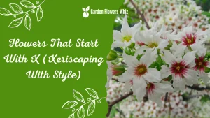 Flowers That Start With X (Xeriscaping With Style)